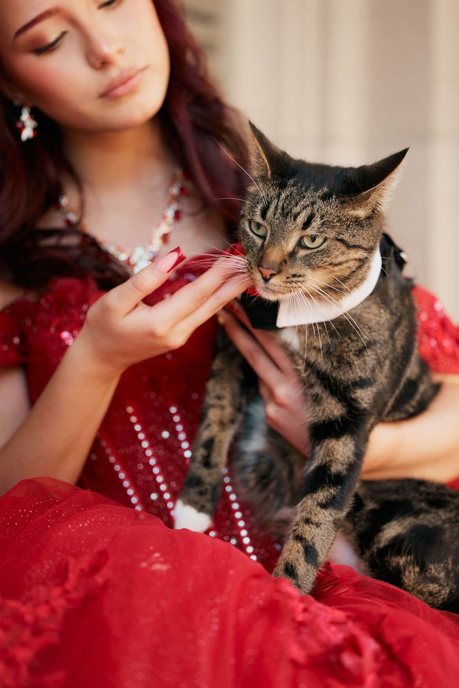 Quinceañera in a sparkling red gown holding a tabby cat wearing a tuxedo collar